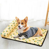 Tapis Pour Animaux de Compagnie Doux Amortissant Rafraîchissant Facile à Nettoyer Durable Pour Intérieur et Extérieur