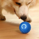 Jouet interactif à rouleau automatique pour chiens