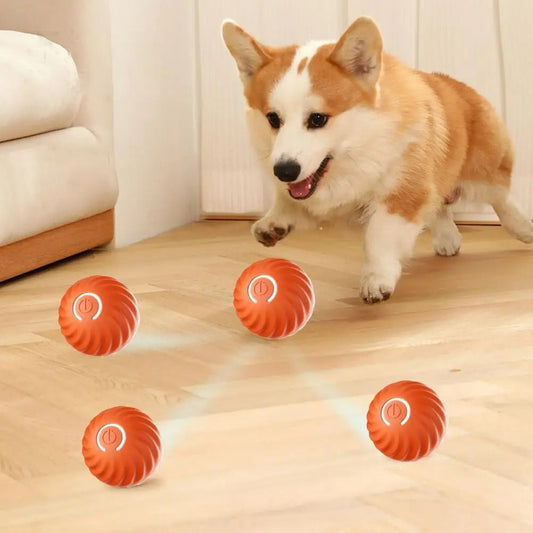 Jouet interactif à rouleau automatique pour chiens