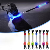 Collier LED de Sécurité pour Chiens Lumineux