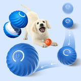 Jouet interactif à rouleau automatique pour chiens