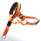 Muselière pour Chien en Nylon Respirant