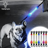 Collier LED de Sécurité pour Chiens Lumineux