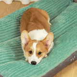 Coussin Orthopédique pour Chiens avec Housse Amovible