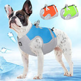 Veste d'Été Rafraîchissante pour Chien