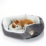 Nid Douillet pour Chien