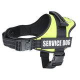 Harnais pour chiens d'assistance
