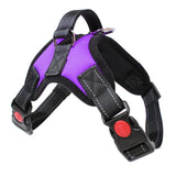 Tucker™ | Harnais Anti-Tirage Réfléchissant pour Chien