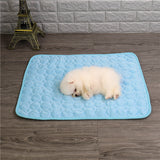 Tapis de Thérapie Rafraîchissant pour Chien