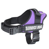 Harnais pour chiens d'assistance