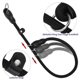 Collier anti-traction durable pour chiens