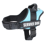 Harnais pour chiens d'assistance