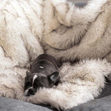 Couverture Imperméable pour Chien en Peluche Imitation Fourrure Protège les Meubles et les Lits pour Chiens