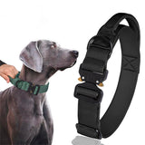 Collier d'entraînement lourd pour chiens avec poignée extra robuste