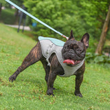 Gilet d'Été pour Chiens Respirant Réfléchissant avec Fermeture Rapide