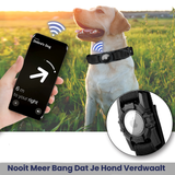 Collier pour Chien Résistant et Tactique avec Support pour Air Tag