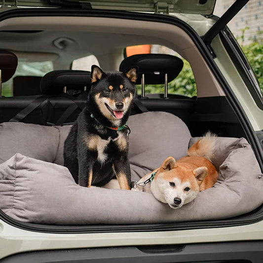 Caisse de Voyage Orthopédique pour Chiens Grande