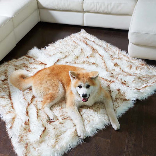 Couverture Imperméable pour Chien en Peluche Imitation Fourrure Protège les Meubles et les Lits pour Chiens
