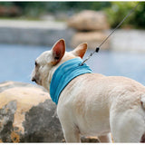 Bandana Refroidissant Instantané pour Chien, Respirant, Réutilisable, Protection Contre les Brûlures Solaires, Amical avec la Laisse