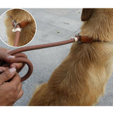 Ceinture anti-traction tressée durable pour chiens