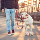 Muselière pour Chien en Nylon Respirant