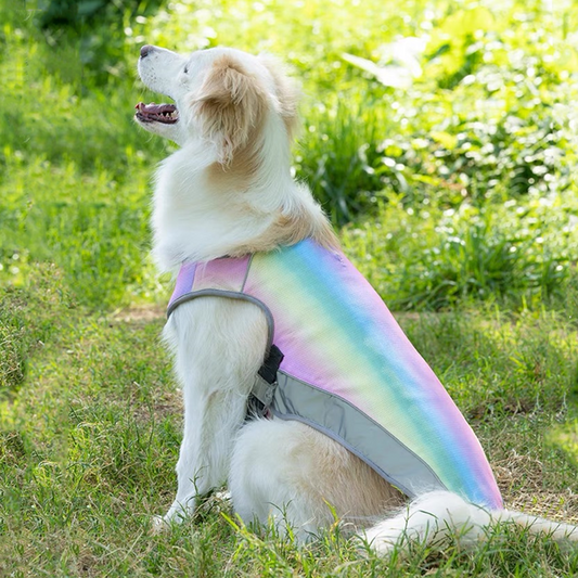 Gilet rafraîchissant pour chien Ademend Protection contre la chaleur Ouverture pour harnais réfléchissant réglable Disponible en plusieurs tailles
