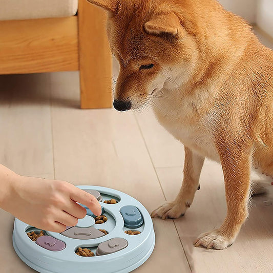 Bol interactif pour chien