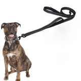 Laisse Réfléchissante Renforcée pour Chiens