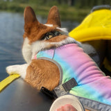 Gilet rafraîchissant pour chien Ademend Protection contre la chaleur Ouverture pour harnais réfléchissant réglable Disponible en plusieurs tailles