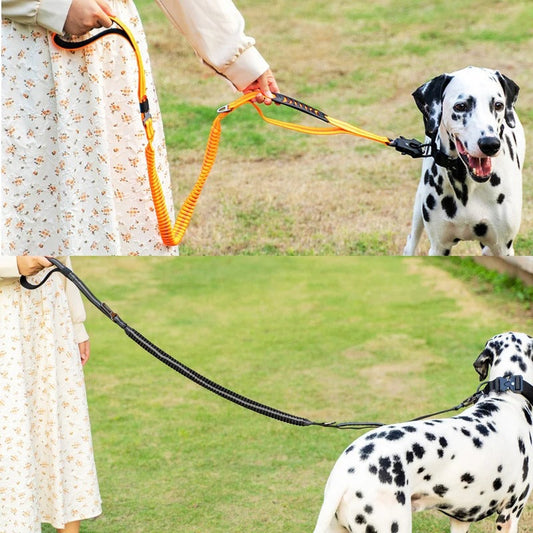 Laisse Élastique Tactique Lourde pour Chiens