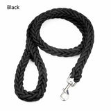Laisse en Nylon Robuste pour Chiens Grands et Moyens