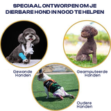 Harnais de Soutien pour Chiens en Récupération Artrose & Opérations