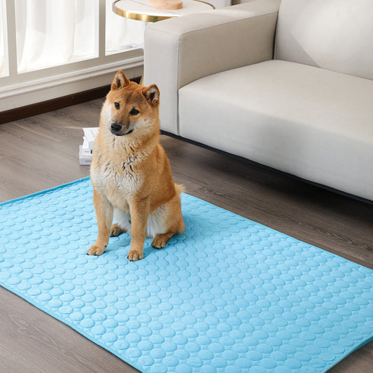 Coussin Rafraîchissant Lavable pour Chiens d'Été