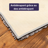 Tapis CleanPaw | Tapis d'entrée pour chiens