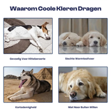 Gilet Rafraîchissant Pour Chiens Conception Multicouche Ajustable Réfléchissant Protection Contre la Surchauffe