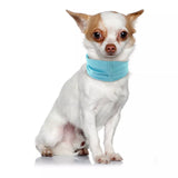 Bandana Refroidissant Instantané pour Chien, Respirant, Réutilisable, Protection Contre les Brûlures Solaires, Amical avec la Laisse