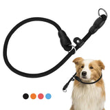 Collier anti-traction durable pour chiens