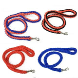Laisse en Nylon Robuste pour Chiens Grands et Moyens