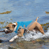 Gilet rafraîchissant pour chien Ademend Protection contre la chaleur Ouverture pour harnais réfléchissant réglable Disponible en plusieurs tailles