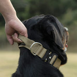Collier de Chien Tactique avec Poignée pour Races de Chiens Puissants