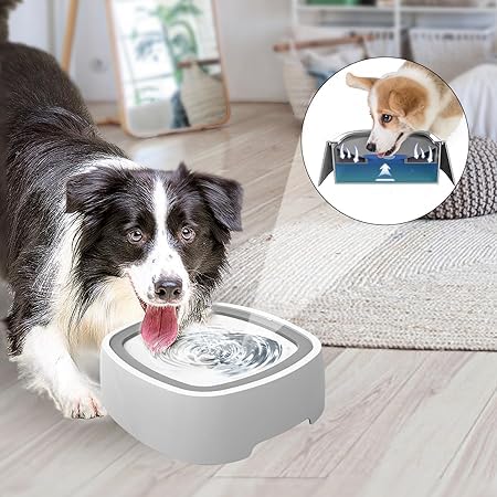 Ruff™ | Gamelle Anti-Débordement pour Chien