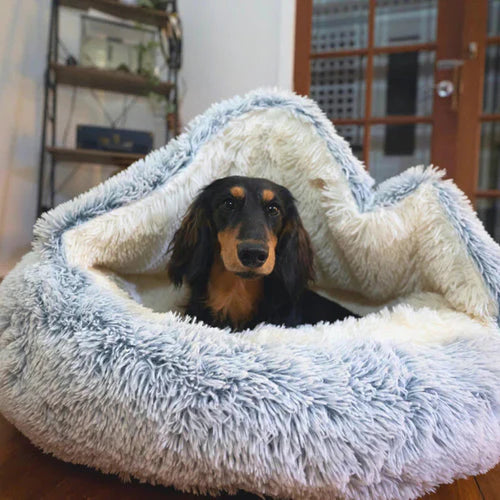 Aux Chiens Heureux