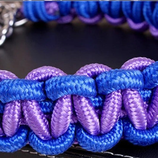 Collier pour Chien en Nylon Tissé Résistant
