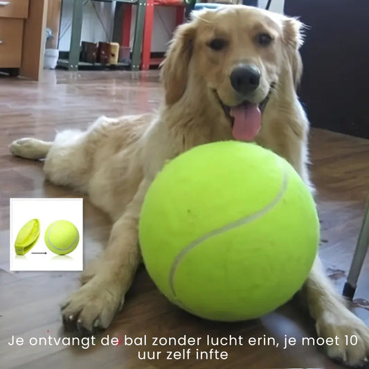 Putty™ | Balle de Tennis Interactive Grande pour Chiens