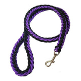 Laisse en Nylon Robuste pour Chiens Grands et Moyens