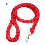 Laisse en Nylon Robuste pour Chiens Grands et Moyens