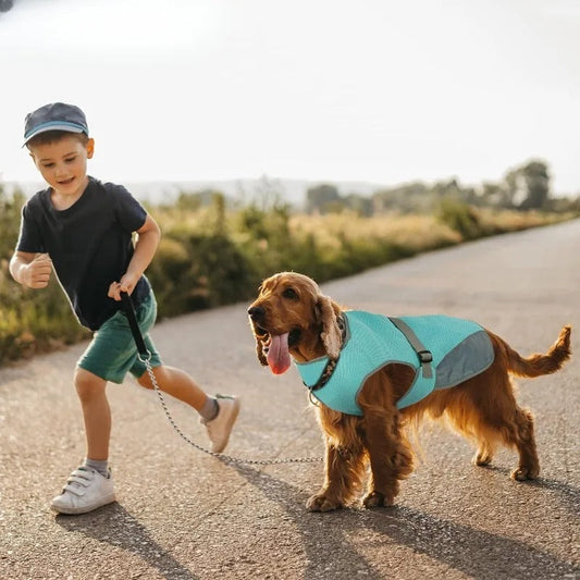 Gilet Rafraîchissant Pour Chiens Conception Multicouche Ajustable Réfléchissant Protection Contre la Surchauffe