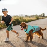 Gilet Rafraîchissant Pour Chiens Conception Multicouche Ajustable Réfléchissant Protection Contre la Surchauffe