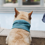 Bandana Refroidissant Instantané pour Chien, Respirant, Réutilisable, Protection Contre les Brûlures Solaires, Amical avec la Laisse