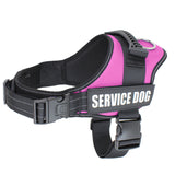 Harnais pour chiens d'assistance